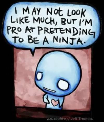Name:  ninja.jpg
Views: 23
Size:  31.2 KB