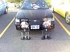 What a show this week end-img014.jpg