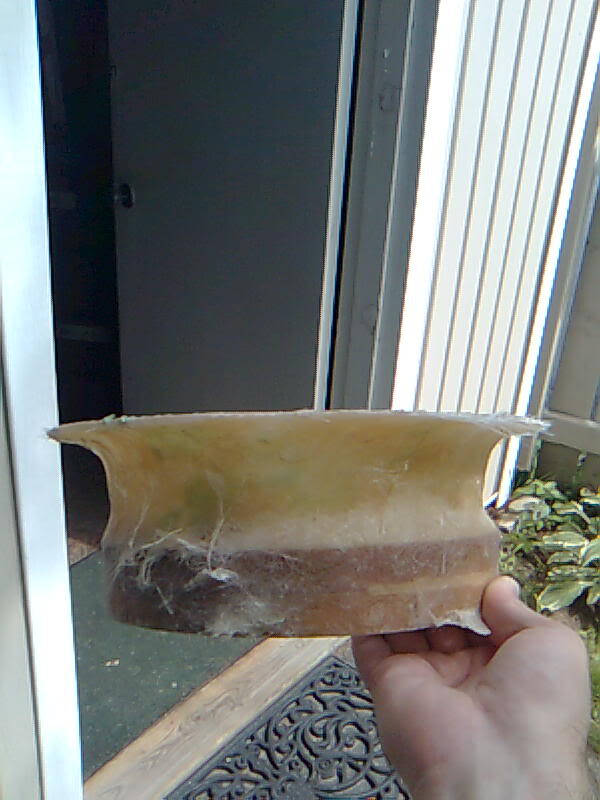 Name: Image0183.jpg
Views: 30
Size: 60.2 KB