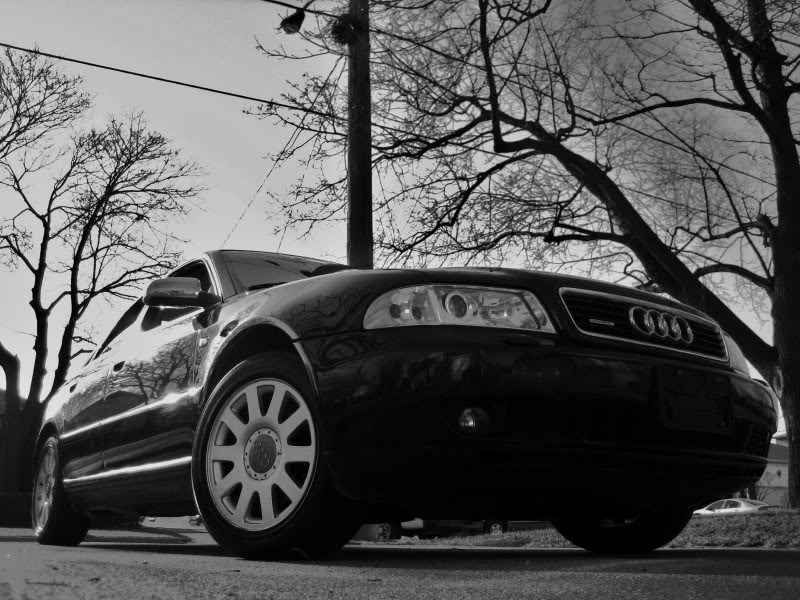 Name:  IMG_3521.jpg
Views: 96
Size:  114.8 KB