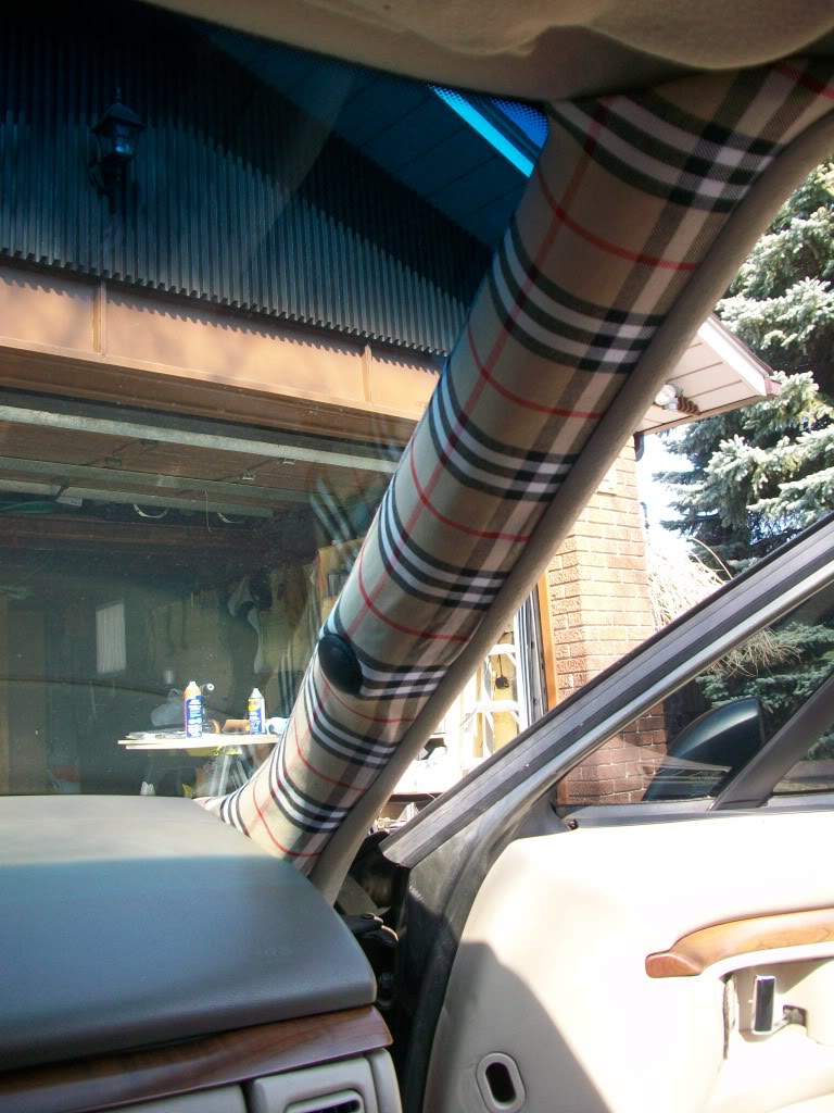 Name:  100_0923.jpg
Views: 23
Size:  163.2 KB