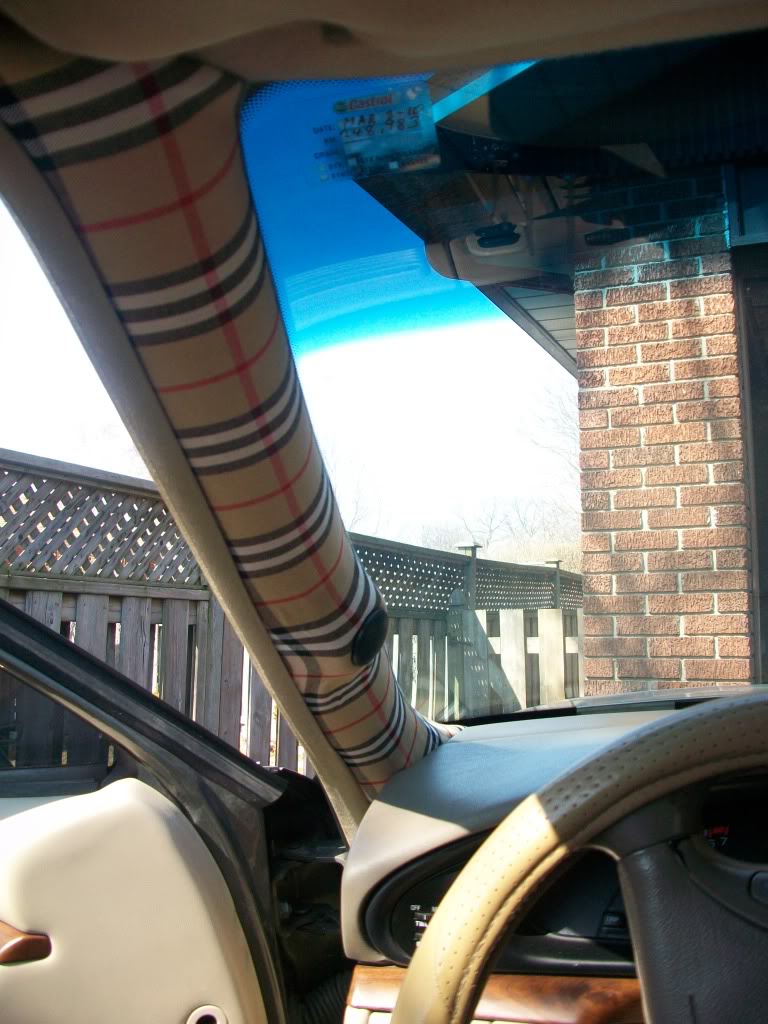 Name:  100_0925.jpg
Views: 21
Size:  161.0 KB