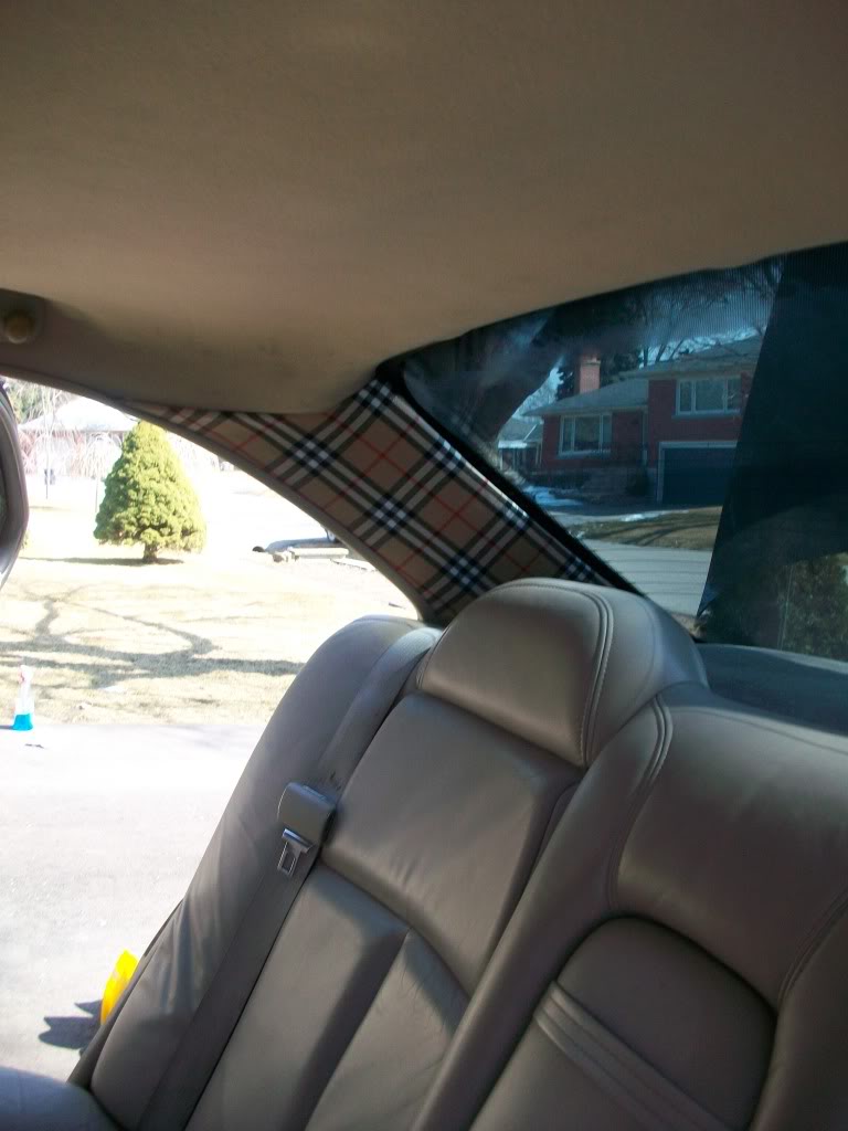 Name:  100_0928.jpg
Views: 23
Size:  103.7 KB