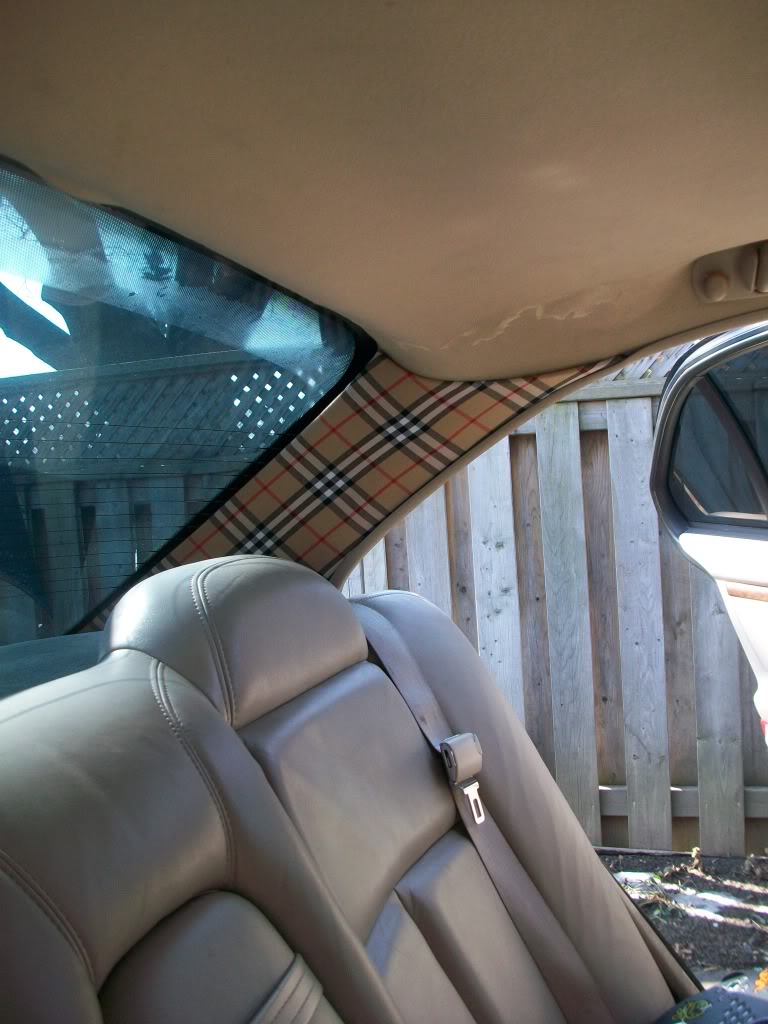 Name:  100_0929.jpg
Views: 23
Size:  136.1 KB