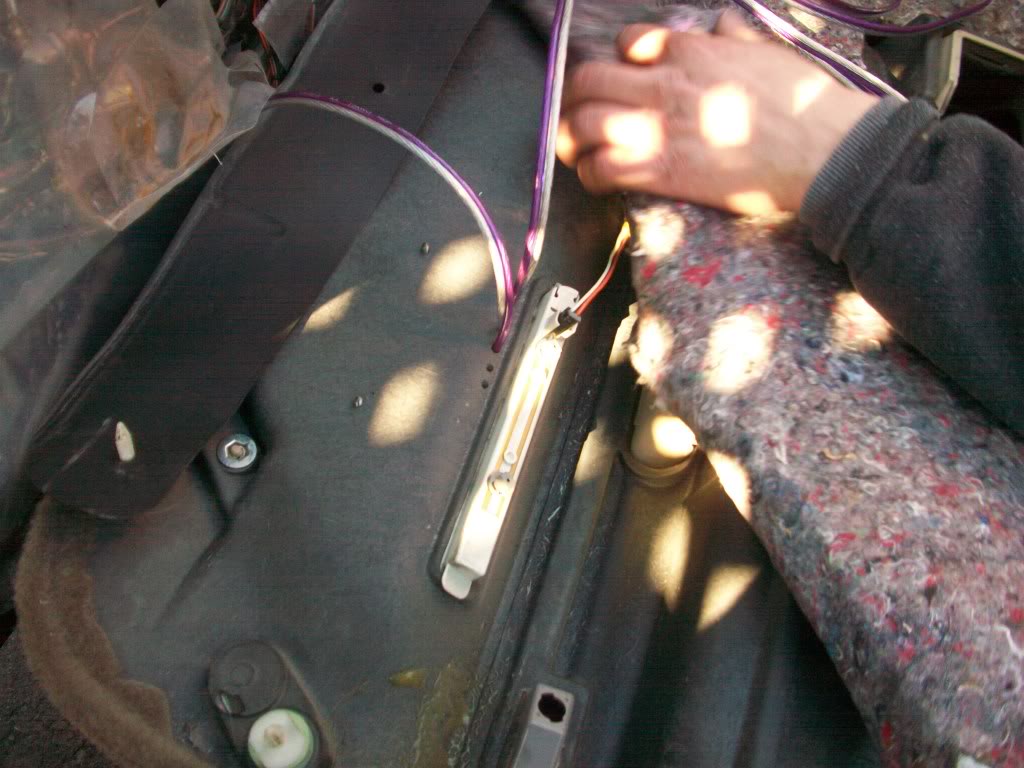 Name:  100_0899-1.jpg
Views: 24
Size:  136.7 KB