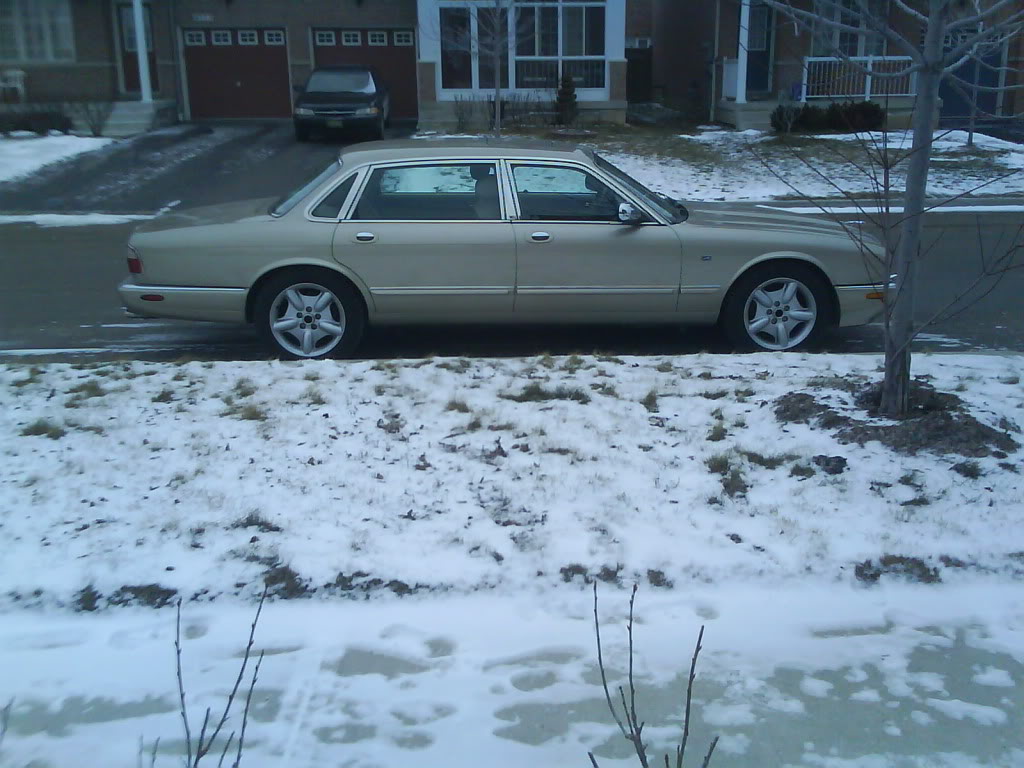 Name:  DSC00075.jpg
Views: 198
Size:  133.6 KB