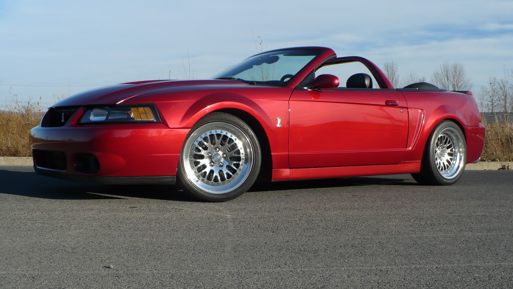 Name:  P1010774.jpg
Views: 195
Size:  154.6 KB