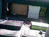 My 2000 mustang system-30042009193.jpg