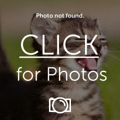 Name: utf-8BSU1HMDAxNzktMjAwOTA3MjQtMTYwN.jpg
Views: 40
Size: 14.0 KB