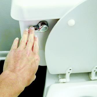 Name:  toilet-flush.jpg
Views: 198
Size:  9.5 KB