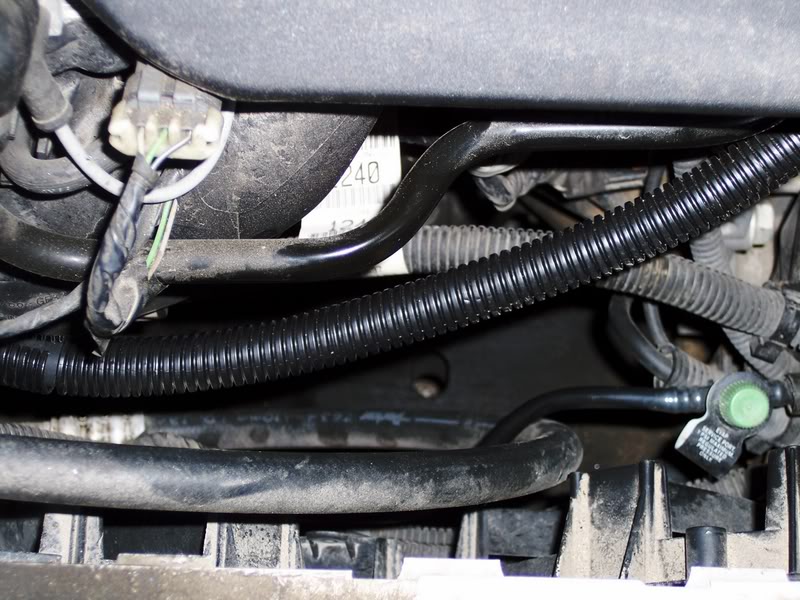 Name: postivecable-1.jpg
Views: 28
Size: 104.4 KB