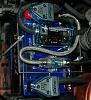 Blue beauty is in-dsc_0085.jpg