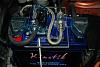 Blue beauty is in-dsc_0087.jpg
