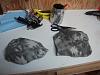 The car Fozz built!!!-mid-pod-4.jpg