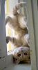 Randomness Pictures-tumblr_lvaqmguumz1qbvbl6o1_500.jpg