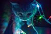 Randomness Pictures-rcofl.jpg
