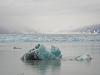 Some Pictures of mine.-iceburg-front-hubbard-small.jpg