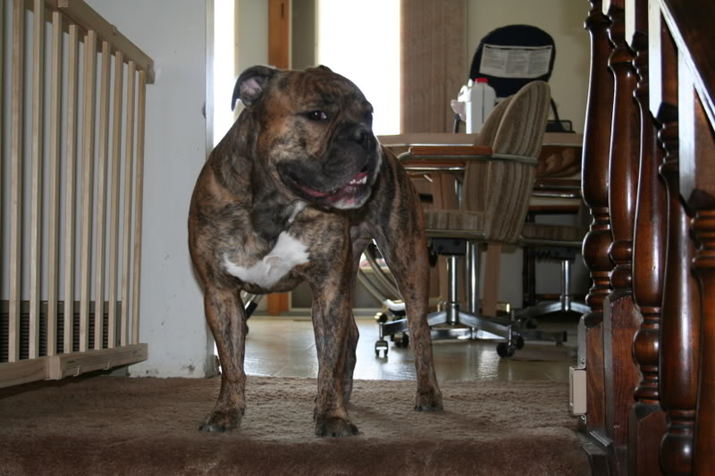 Name: IMG_1991-1.jpg
Views: 16
Size: 80.5 KB