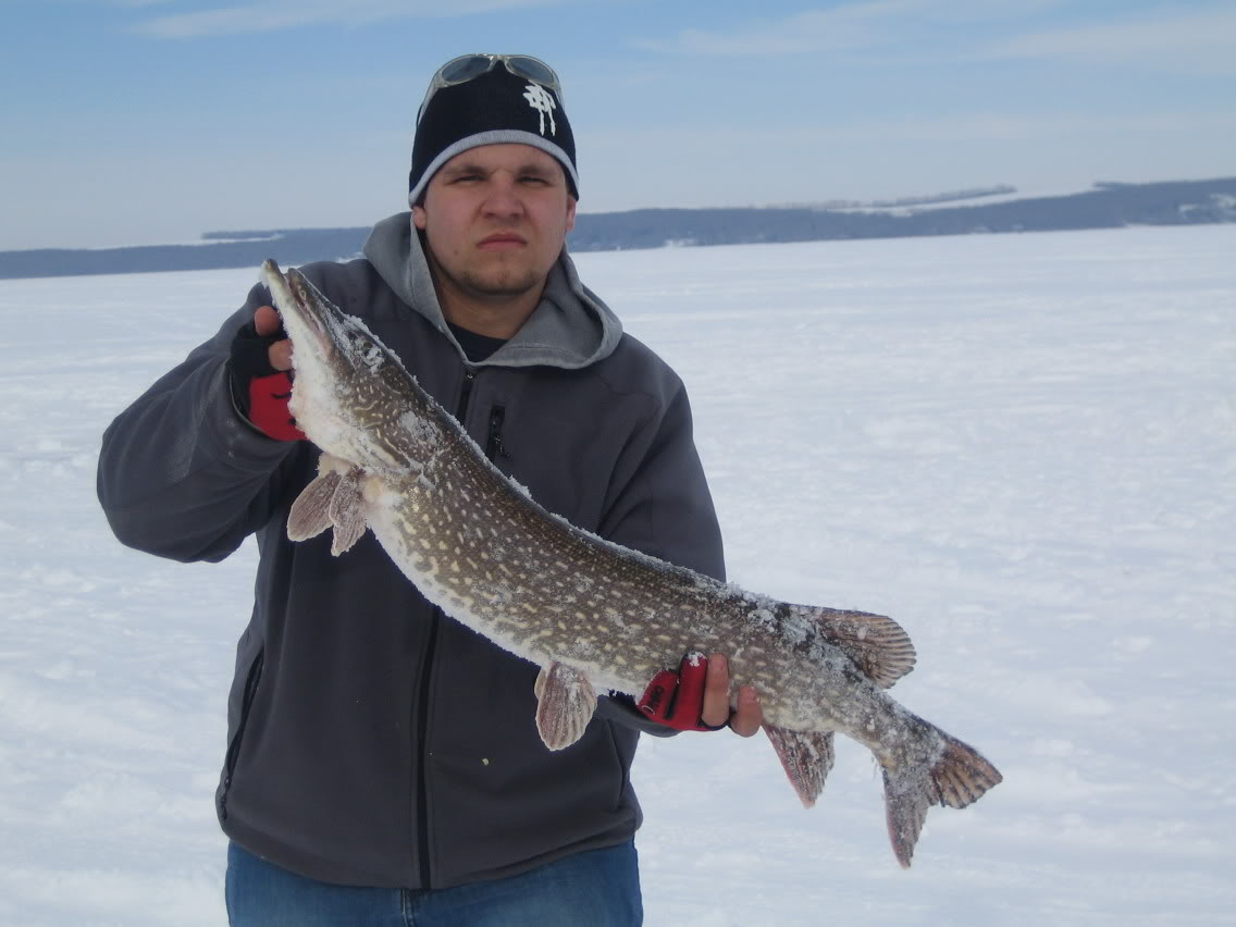 Name:  bigpike2.jpg
Views: 25
Size:  86.9 KB