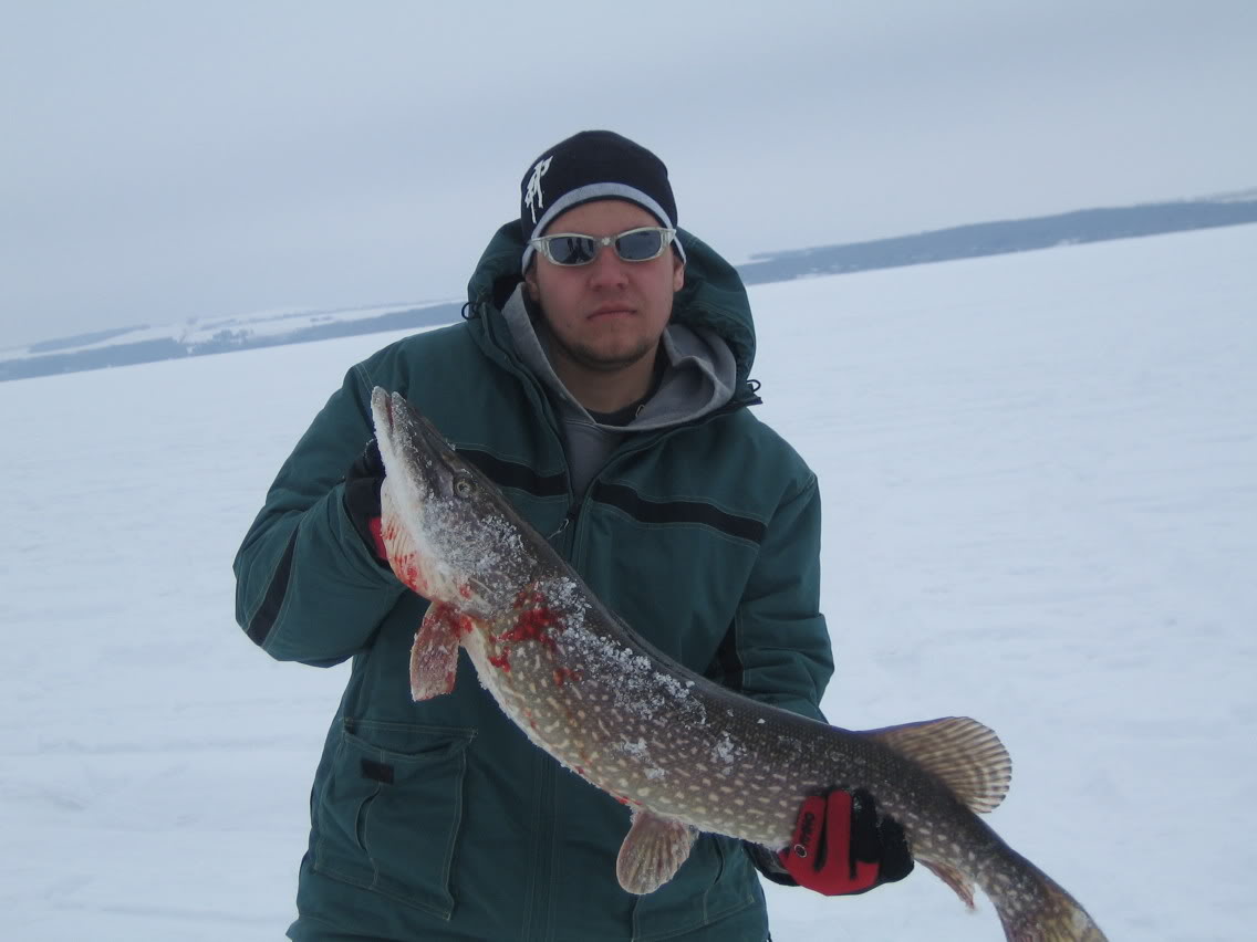 Name:  pike2.jpg
Views: 31
Size:  74.7 KB