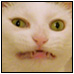 SiliconX's Avatar