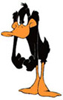Image Dynamics Tech's Avatar